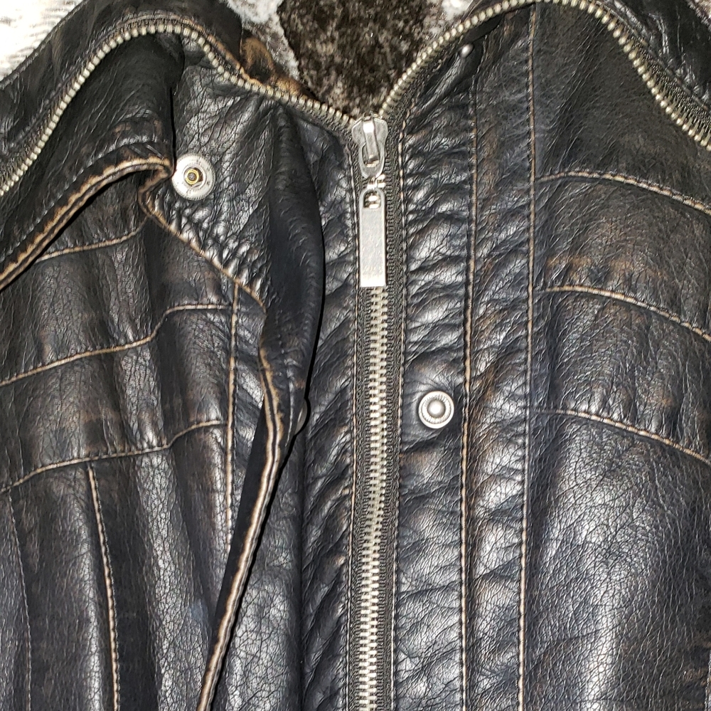 Jacket - Picture 2 of 5